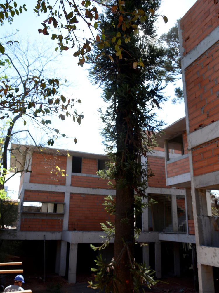 cond-alto-da-boa-vista_14